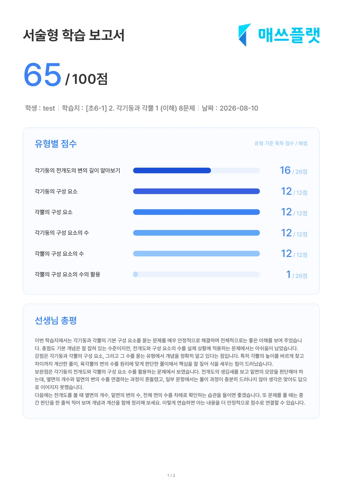 서술형 보고서 예시 — 유형별 점수 그래프와 총평